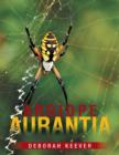 Argiope Aurantia - Book