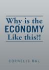 Why Is the Economy Like This?! - Book