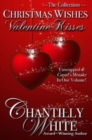 Christmas Wishes, Valentine Kisses - Book