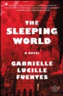 The Sleeping World : A Novel - eBook