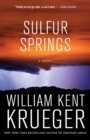 Sulfur Springs : A Novel - eBook