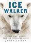 Ice Walker : A Polar Bear's Journey through the Fragile Arctic - eBook