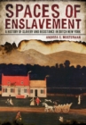 Spaces of Enslavement : A History of Slavery and Resistance in Dutch New York - eBook