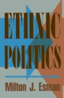 Ethnic Politics - eBook