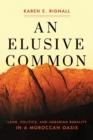 An Elusive Common : Land, Politics, and Agrarian Rurality in a Moroccan Oasis - Book