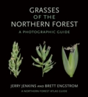 Grasses of the Northern Forest : A Photographic Guide - Book