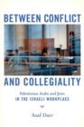 Between Conflict and Collegiality : Palestinian Arabs and Jews in the Israeli Workplace - Book
