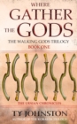 Where Gather the Gods : Book I of The Walking Gods Trilogy - Book