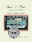 "Hare" N There Adventures of Rosie Rabbit : Rosie in Mackinac Island - Book