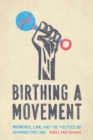 Birthing a Movement : Midwives, Law, and the Politics of Reproductive Care - Book