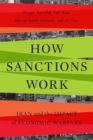 How Sanctions Work : Iran and the Impact of Economic Warfare - Book