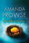 The Idea of You - Book