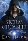 Storm Crossed - Book