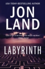 Labyrinth - Book