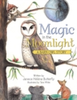 Magic in the Moonlight : A Barn Owl Story - Book