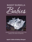 Bandit Burmilla Babies : Intimate Conversations with a Family of Cats on Love, Pregancy, Birth, Death and Separation. - Book