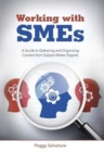Working with Smes : A Guide to Gathering and Organizing Content from Subject Matter Experts - Book