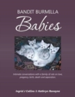 Bandit Burmilla Babies : Intimate Conversations with a Family of Cats on Love, Pregancy, Birth, Death and Separation. - Book