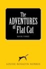 The Adventures of Flat Cat : Book Three - eBook