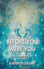 Before You Were You : The Metamorphosis of a Soul - Book
