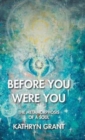 Before You Were You : The Metamorphosis of a Soul - Book