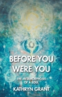 Before You Were You : The Metamorphosis of a Soul - eBook