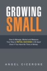 Growing Small : How to Manage, Market and Measure Your Way to Retail Success in 90 Days! Even If You Have No Time or Money. - Book