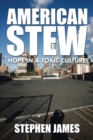 American Stew : Hope in a Toxic Culture - Book