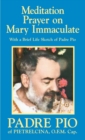 Meditation Prayer on Mary Immaculate - eBook