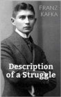 Description of a Struggle - eBook
