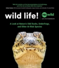 Wild Life! : A Look at Nature's Odd Ducks, Underfrogs, and Other At-Risk Species - eBook
