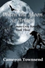When the Moon is Bright - Book