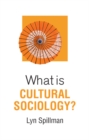 What is Cultural Sociology? - Book