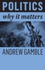 Politics : Why It Matters - Book