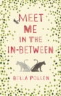 Meet Me in the In-Between - Book