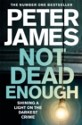Not Dead Enough - Book