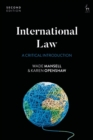 International Law : A Critical Introduction - eBook