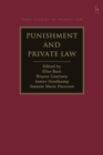 Punishment and Private Law - eBook