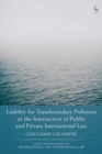 Liability for Transboundary Pollution at the Intersection of Public and Private International Law - eBook