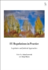 EU Regulations in Practice : Legislative and Judicial Approaches - Book