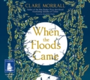 When the Floods Came - Book