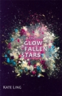 Ventura Saga: The Glow of Fallen Stars : Book 2 - Book