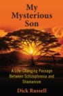 My Mysterious Son : A Life-Changing Passage between Schizophrenia and Shamanism - eBook