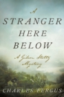 A Stranger Here Below : A Gideon Stoltz Mystery - eBook