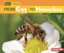 From Egg to Honeybee - eBook