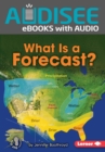 What Is a Forecast? - eBook