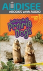 Let's Look at Prairie Dogs - eBook