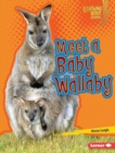 Meet a Baby Wallaby - eBook