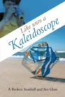 Like Unto a Kaleidoscope - Book