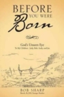 Before You Were Born : God's Unseen Eye - Book